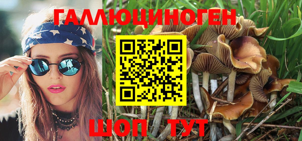 Галлюциногенные грибы Psilocybe Скопин