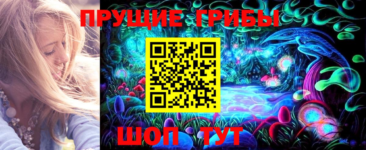 Скопин  Псилоцибиновые грибы GOLDEN TEACHER  Вход с VPN 
